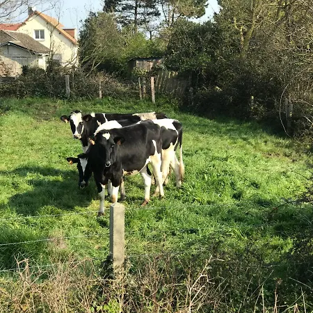 Alojamento de Acomodação e Pequeno-almoço La Villa Port Winston - Face Mer Chambres & Studios