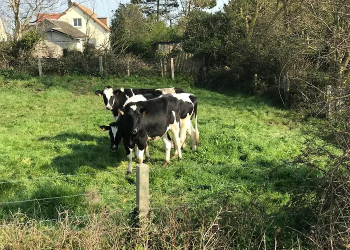 Bed & Breakfast La Port Winston - Face &